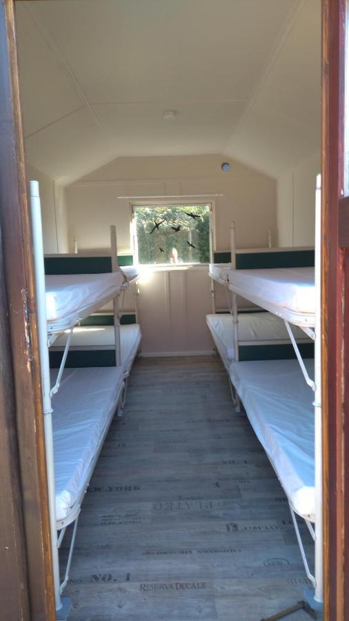 Motel Treene Camp Horn *
